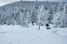 4-Hour Guided Scenic National Monument Snowmobile Tour in Bend