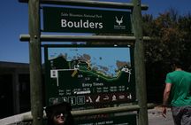Cape Point, Cape of Good Hope & Boulders Penguins Full-Day Tour