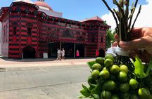 Around the Island Tour From San Juan 