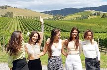 Yarra Valley Full Day Private Wine Tour 