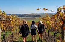 Yarra Valley Full Day Private Wine Tour 