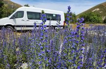 Franz Josef to Christchurch Day Tour (Small Group)