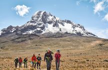Day Tour in Mount Kenya from Nairobi with lunch