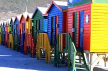 Cape Peninsula Sightseeing Tour
