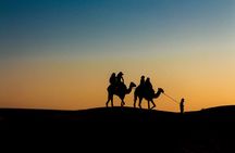 Pushkar Camel Safari Adventure