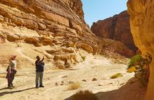 One Day Camel or Hiking from Dahab