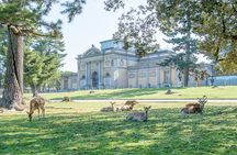 Nara Private Customizable Half Day Tour