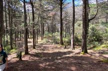 Nature Exploration and Healing Sounds in Santa Elena