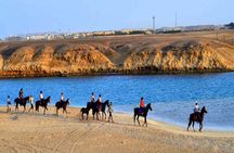3 Hours Sunrise Horse Riding Beach and Desert from Marsa Alam