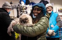 The Reykjavik Cat Walking Tour