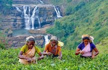 7 Days Ramayana Trails Tour in Sri Lanka