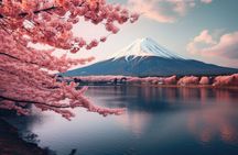 Mount fuji and Hakone Full day private sightseeing tour 