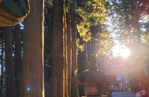 Mount fuji and Hakone Full day private sightseeing tour 