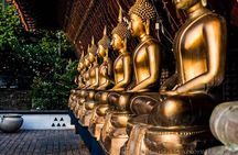 9 Day Sri Lanka Private Tour in Sigiriya Kandy Ella and Safari