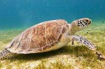 Private Full Day Charter to the British Virgin Islands from USVI