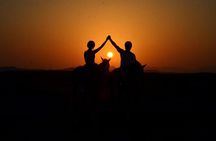 2 Hours Horse Riding with Swimming Option from Marsa Alam