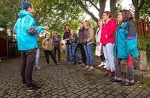 Private Folklore Walking Tour - Meet the Elves, Trolls & Ghosts of Iceland