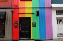 Private Reykjavik LGBTQ City Walk