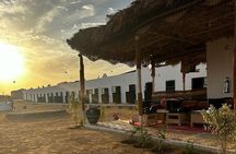 3 Hours Sunrise Horse Riding Beach and Desert from Marsa Alam