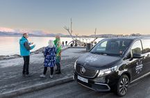 4-hour Private Reykjavik City Tour 