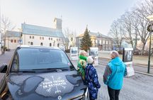 4-hour Private Reykjavik City Tour 
