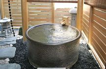 Yukon Wildlife & Nordic Hot Springs Experience