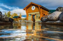 Yukon Wildlife & Nordic Hot Springs Experience