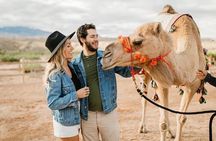 Las Vegas Guided UTV Safari and Zoo Tour 