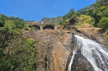 Dudhsagar Waterfalls, Jeep Safari & Spice Plantation private tour