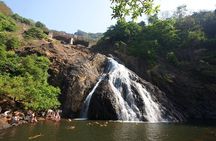Dudhsagar Waterfalls, Jeep Safari & Spice Plantation private tour