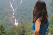 Dudhsagar Waterfalls, Jeep Safari & Spice Plantation private tour