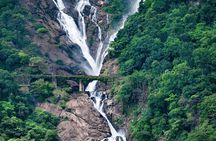 Dudhsagar Waterfalls, Jeep Safari & Spice Plantation private tour