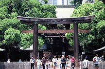 Private Guided 1/2-Day Walking Subway Tour in Tokyo (English)