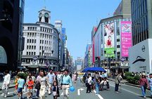 Private Guided 1/2-Day Walking Subway Tour in Tokyo (English)