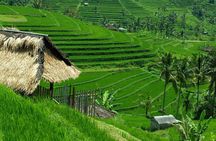Bali: Bedugul Lake Temple, Banyumala Waterfall, UNESCO Rice Field