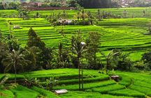 Bali: Bedugul Lake Temple, Banyumala Waterfall, UNESCO Rice Field