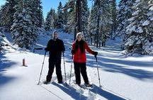 Lake Tahoe-Hike Year Round With a Local