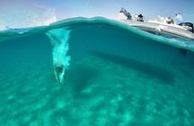 Private cruise: AEGINA ISLAND - MOLI ISLET - PERDIKA 