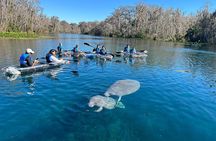 Silver Springs Clear Kayak Rentals