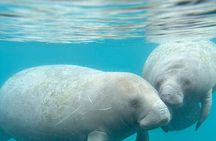 Silver Springs Clear Kayak Rentals