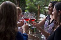 Private Wine, Empanadas and Choripán Tour with Transfers