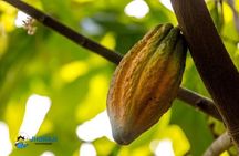 Safari tour with Jhoraji - Authentic Punta Cana Experience