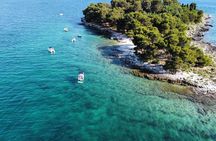 Private Speedboat Tour to Lim Fjord and Red Island