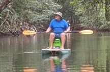 Stand Up Paddle Board Experience in Bahia Honda Bocas del Toro