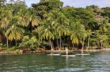 Stand Up Paddle Board Experience in Bahia Honda Bocas del Toro