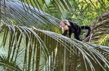 Stand Up Paddle Board Experience in Bahia Honda Bocas del Toro