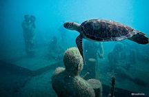 Underwater Sculpture Park Snorkel Adventure 