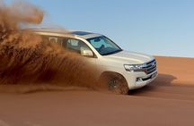 Desert Safari + Miracle Garde+Global Village (Trio Package)