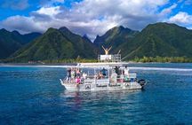 Teahupoo Olympic Wave Journey
