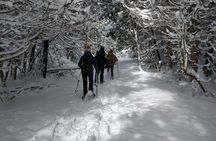 Private Nottawasaga Bluffs Caves Snowshoe, Collingwood/Creemore
